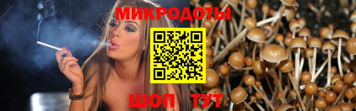 Галлюциногенные грибы Cubensis  Вход с VPN  Псилоцибиновые грибы мухоморы  Котлас 